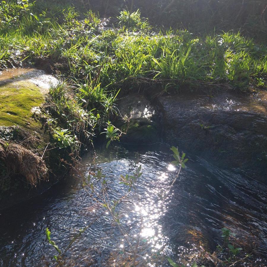 Yahoo Ecolodge Rio Rufino Kültér fotó
