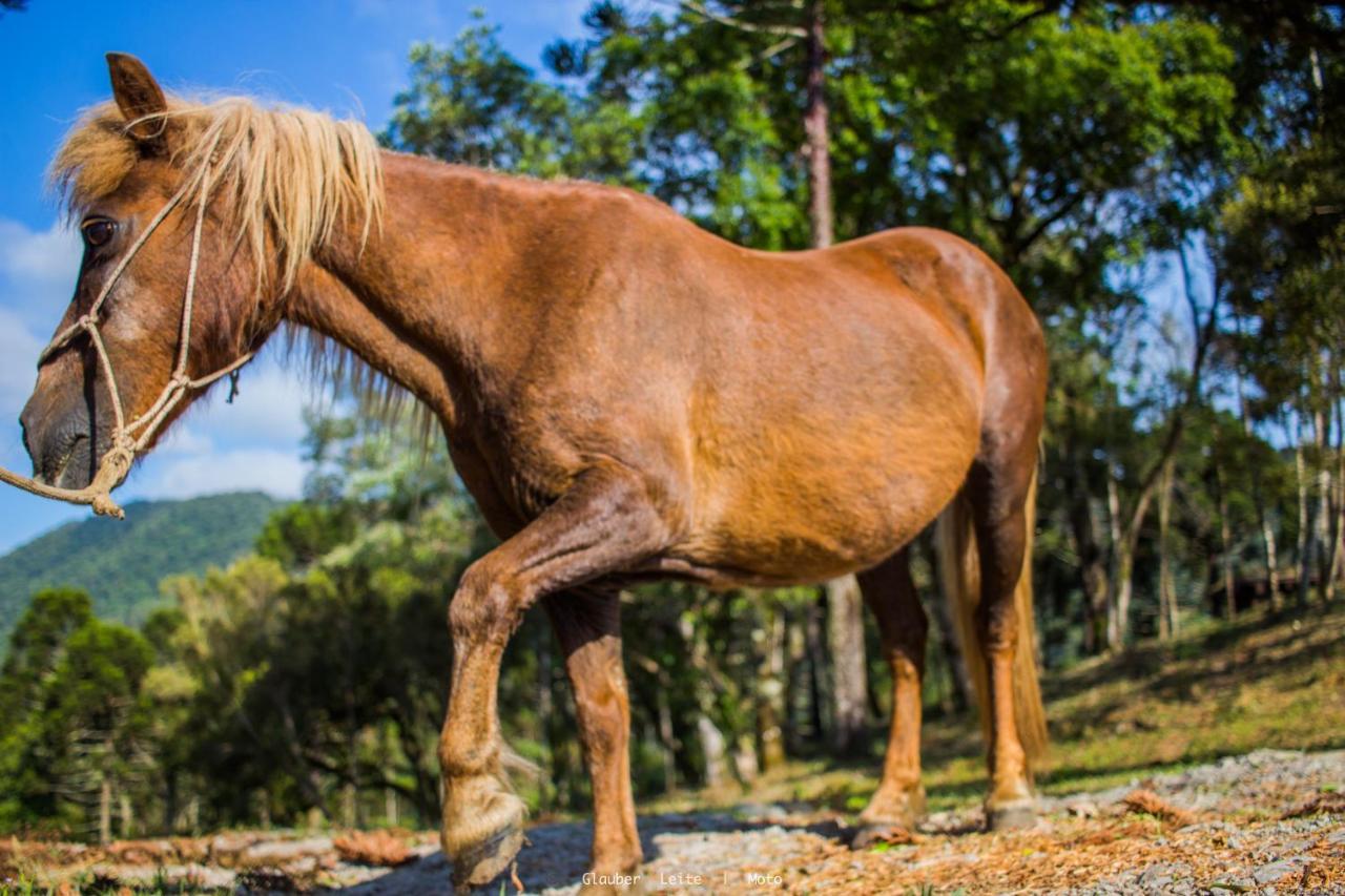 Yahoo Ecolodge Rio Rufino Kültér fotó