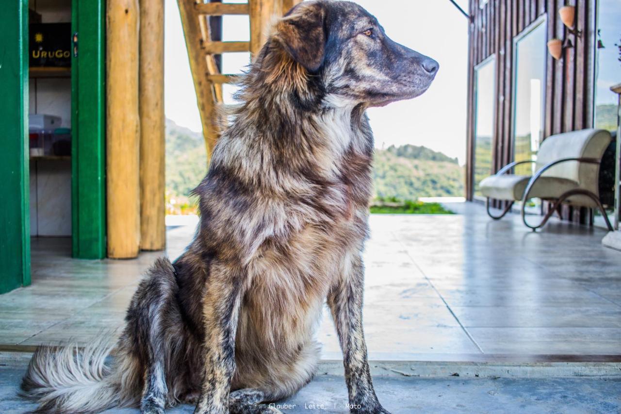 Yahoo Ecolodge Rio Rufino Kültér fotó
